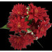 Artificial Red Flower Stem